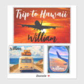 ハワイ旅行（渡航スタンプ）飛行機スーツケース シール (シート)