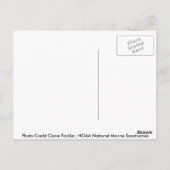 ハワイ日没はがき ポストカード (裏面)