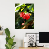 ハワイ植物学9b ポスター (ホームオフィス)