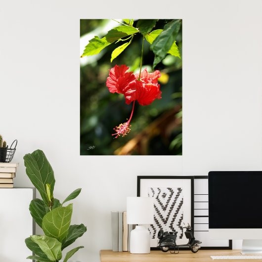 ハワイ植物学9b ポスター (ホームオフィス)