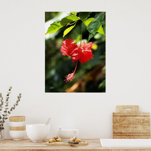 ハワイ植物学9b ポスター (キッチン)