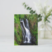 ハワイ浜久海岸の滝 ポストカード (スタンド正面)