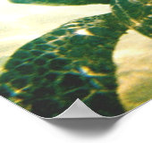 ハワイ海亀の保護 ポスター (角)