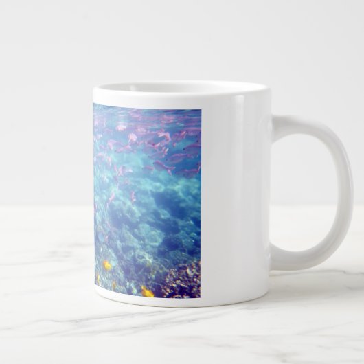 ハワイ海洋生物ジャンボマグ ジャンボコーヒーマグカップ (右)