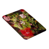 ハワイ火山で花を咲かせる マグネット (右側)