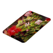 ハワイ火山で花を咲かせる マグネット (左側)