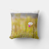 ハワイ熱帯蘭火山国立公園 クッション (正面)