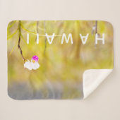 ハワイ熱帯蘭火山国立公園 シェルパブランケット (正面(横))