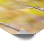 ハワイ熱帯蘭火山国立公園 ポスター (角)