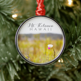 ハワイ熱帯蘭火山国立公園 メタルオーナメント