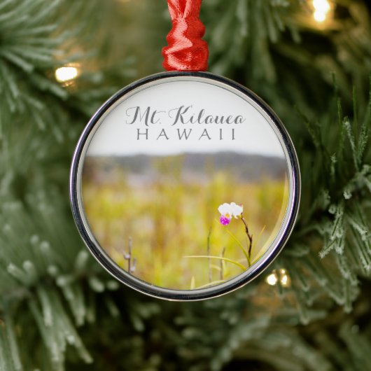 ハワイ熱帯蘭火山国立公園 メタルオーナメント (ツリー)