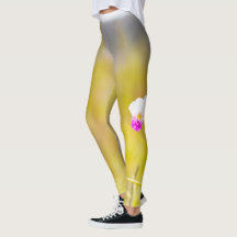 ハワイ熱帯蘭火山国立公園