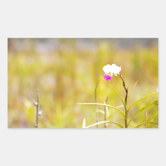 ハワイ熱帯蘭火山国立公園 長方形シール (正面)