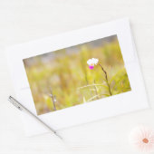 ハワイ熱帯蘭火山国立公園 長方形シール (封筒)