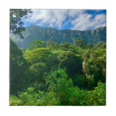 ハワイ熱帯雨林 タイル (正面)