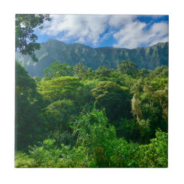 ハワイ熱帯雨林 タイル