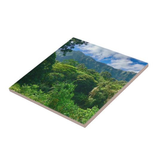 ハワイ熱帯雨林 タイル (側面)