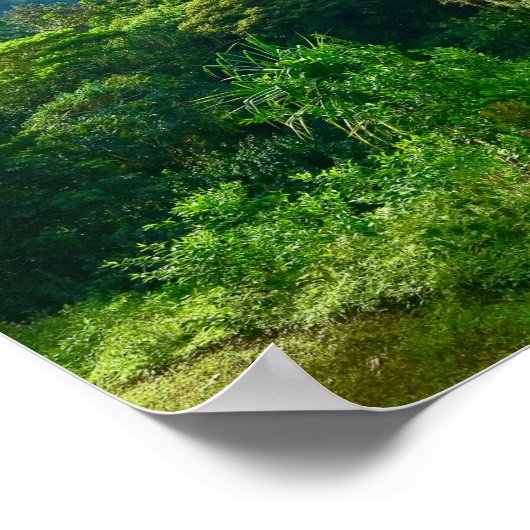 ハワイ熱帯雨林 ポスター (角)