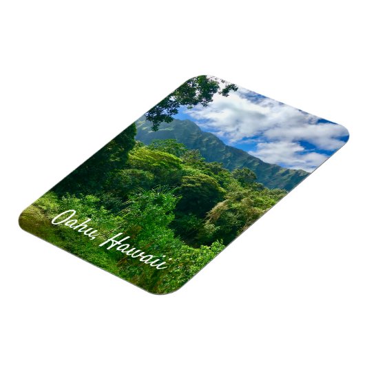 ハワイ熱帯雨林 マグネット (左側)