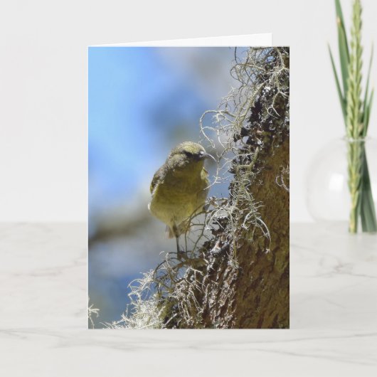 ハワイ甘木日 カード (正面)