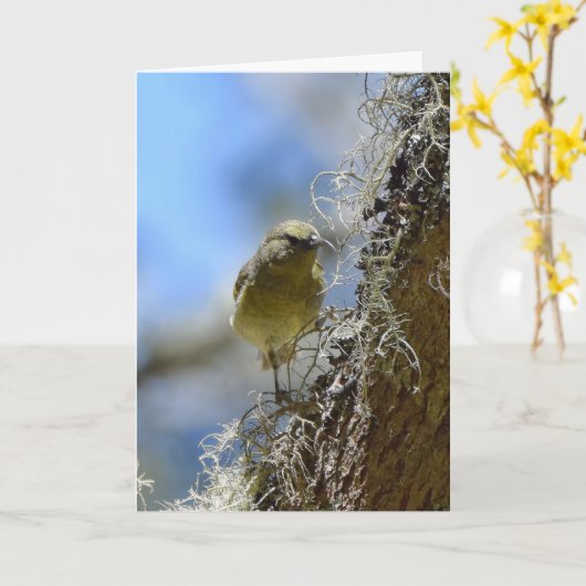 ハワイ甘木日 カード (黄色い花)