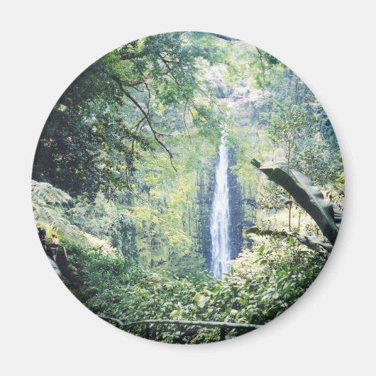 ハワイ磁石 マグネット (正面)