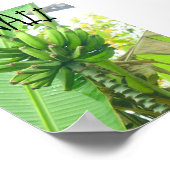 ハワイ自然 ポスター (角)