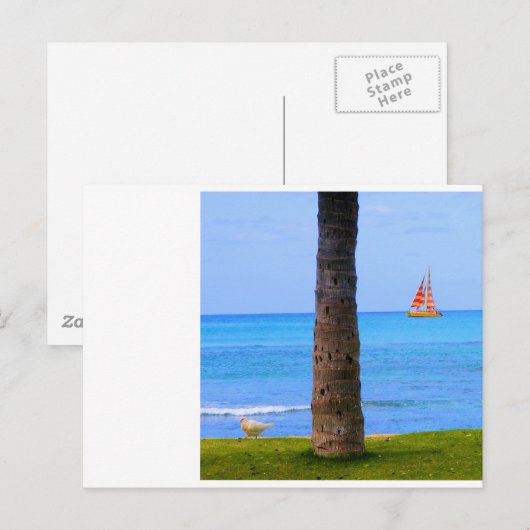 ハワイ自然 ポストカード (正面/裏面)