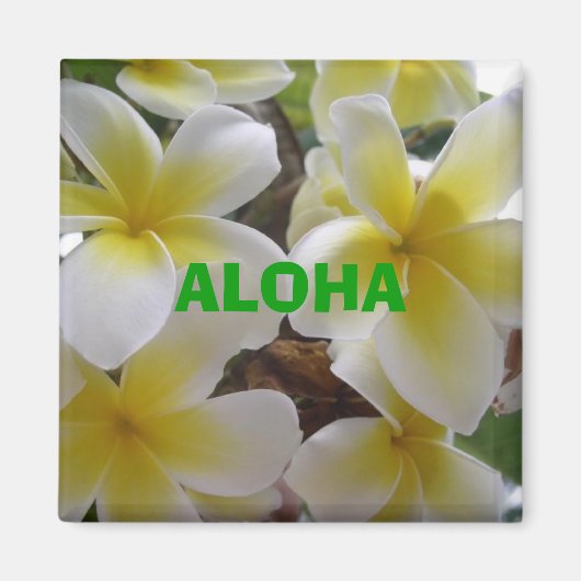 ハワイ花1, ALOHA マグネット (正面)