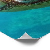 ハワイ諸島 ウミガメ ポスター (角)