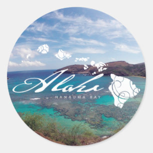 ハワイ諸島・花馬湾 ラウンドシール