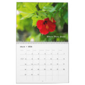 ハワイ風景カレンダー カレンダー (3月 2026)