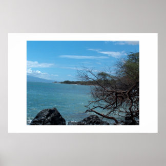 ハワイ魚釣り ポスター