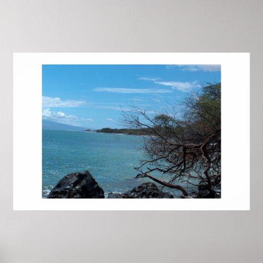 ハワイ魚釣り ポスター (正面)