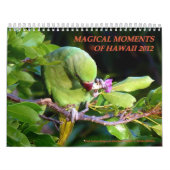 ハワイ2012年の魔法の時 カレンダー (カバー)