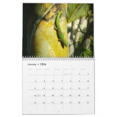 ハワイ2022年景勝地カレンダー カレンダー (1月 2026)