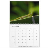 ハワイ2023カレンダー カレンダー (3月 2027)