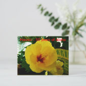 ハワイ50州州 ポストカード (スタンド正面)