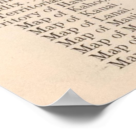 ハワイ5 ポスター (角)