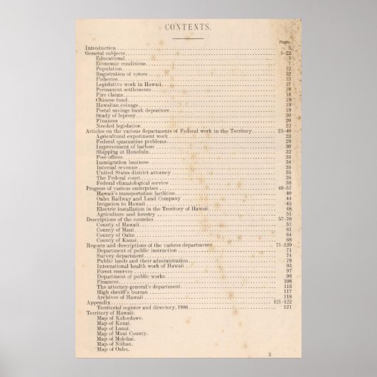 ハワイ5 ポスター (正面)