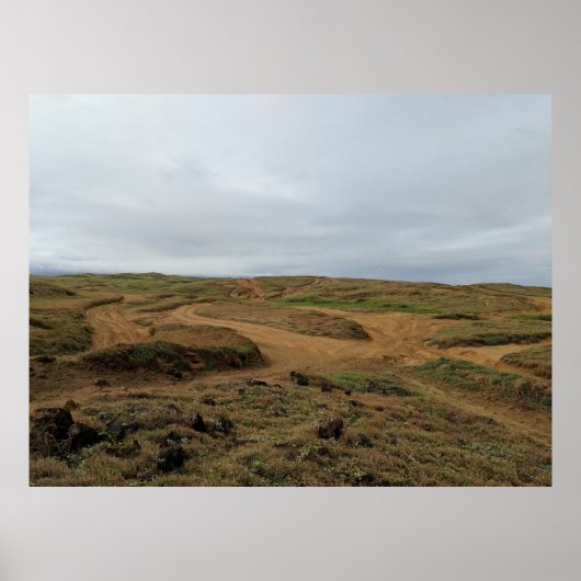 ハワイ – アドベンチャートゥグリーンサンドビーチ ポスター (正面)