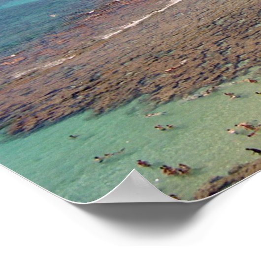 ハワイ，オハウ ポスター (角)