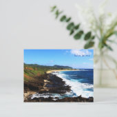 ハワイ・カイ ポストカード (スタンド正面)