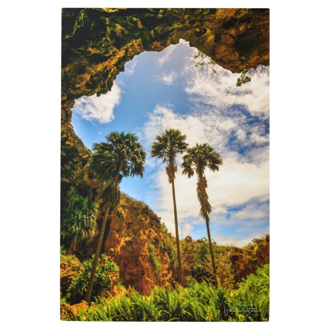 ハワイ，カウアイのマカウワヒケーブパームツリーズ メタルプリント (正面)