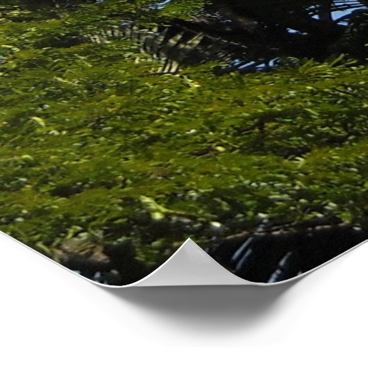 ハワイ，カウアイ ポスター (角)