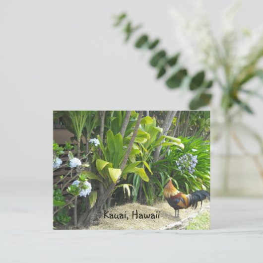 ハワイ，カウアイ ポストカード (スタンド正面)