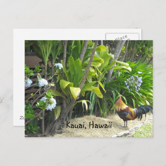 ハワイ，カウアイ ポストカード (正面/裏面)