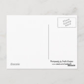 ハワイ，カウアイ ポストカード (裏面)