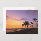 ハワイ・コナのカハルーベイに夕日2 ポストカード (正面/裏面)