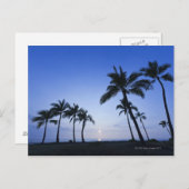 ハワイ・コナのカハルーベイに沈む夕日 ポストカード (正面/裏面)